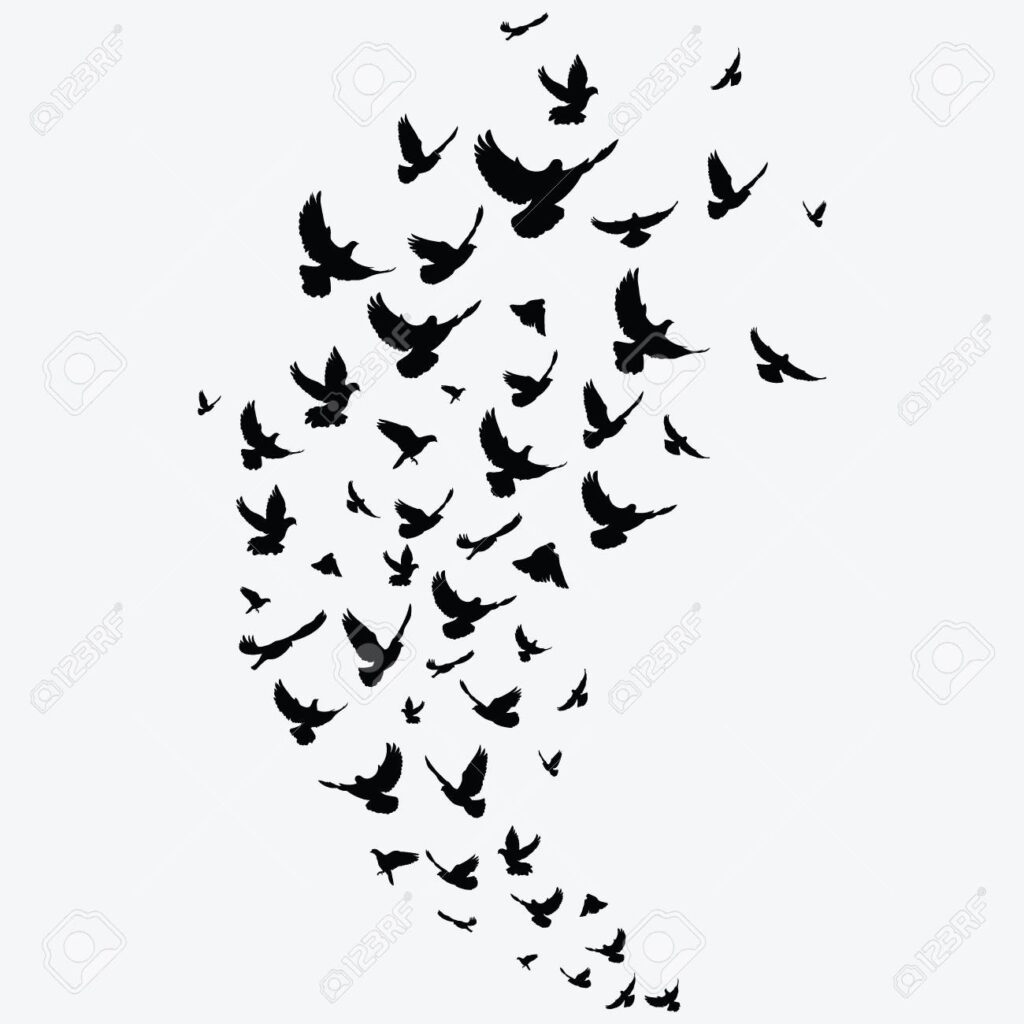 Der Vogelschwarm symbolisiert die Leichtigkeit, die man durch das Trainieren nach der Cantienica Methode erlangt. Die Beschwingtheit, die sich einstellt, wenn man regelmäßig trainiert, z.B. auch wenn die Cantienica-Stunden zur Rückbildungs nach der Entbindung dient, um den Beckenboden wieder zu stabilisieren und die Gebärmutter und der Uterus wieder zurück in den Körper gearbeitet werden, sowie die gedehnten Bauchmuskulatur und Längsbänder bei den Cantinica-Übungenn gestrafft werden. Auch die sogenannten Sanduhr-Muskeln sind wichtig nach der Schwangerschaft wieder zu stärken, damit sie zu ihrer natürlichen Elastizität zurückfinden.