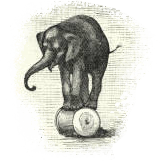 Individuell zugeschnittene Trainingsprogramme für gesunde Mitarbeiter und gutes Arbeitsklima  in Wien: Effektives Haltungstraining gegen nacken-, Schulter-, Rückenschmerzen und mehr Energie und Konzentration im Arbeitsalltag mit Cantienica®.