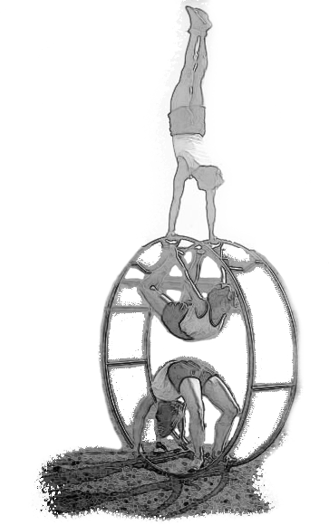 Betriebliches Gesundheitsmanagement in Wien: Firmenfitness mit Cantienica® für starke Mitarbeiter, gesunde Haltung und weniger Rückenschmerzen.